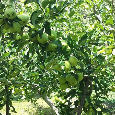 Dom wakacyjny Casa Navarrete *