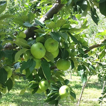 Dom wakacyjny Casa Navarrete