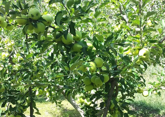 Дом отдыха Casa Navarrete *