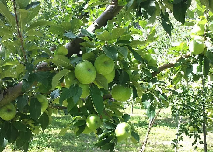 Дом отдыха Casa Navarrete