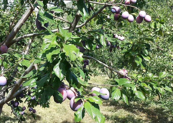 Дом отдыха Casa Navarrete *